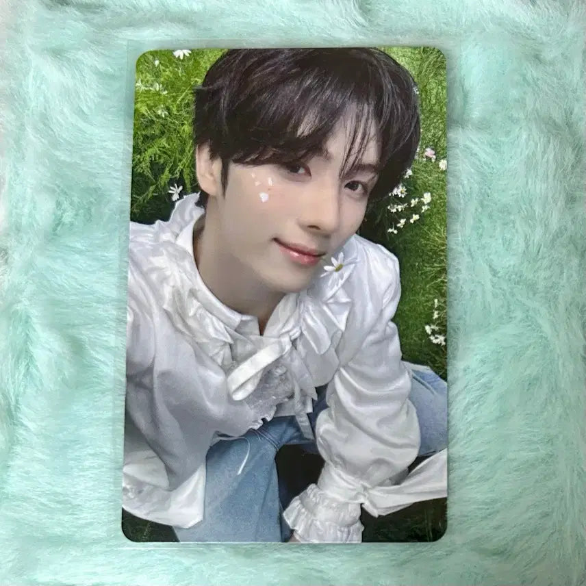 [BUNJANG] TWS Youngjae HMV Japan POB Photocard (No Tragedy Ver.) / 투어스 영재 hmv 재팬 특전 포카 양도 컴팩트 미공포 no tragedy
