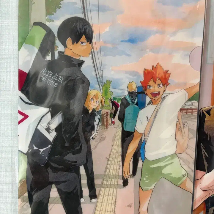 [BUNJANG] Haikyu!! Jump Shop Clear File / 중국 점프샵 하이큐 클리어파일