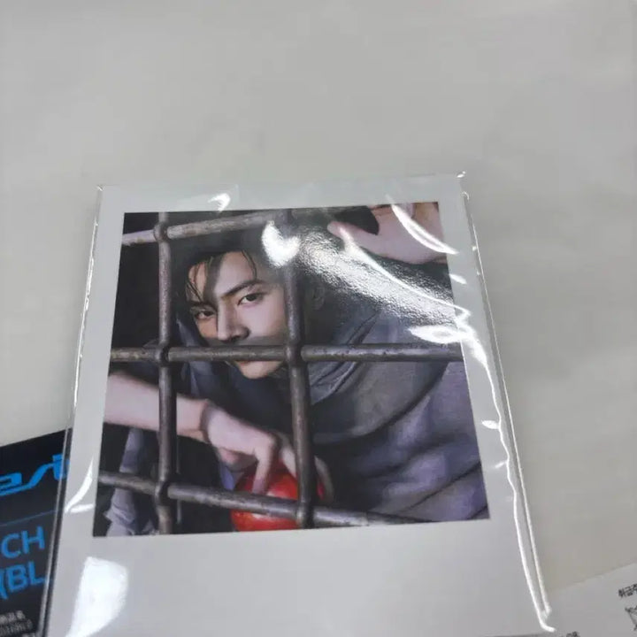 [BUNJANG] The Shinbvnish Pouch J Blue / 더신바니쉬 파우치 제이 블루 팔아요!!