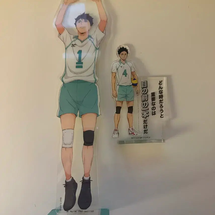 [BUNJANG] Haikyuu!! Oikawa Tooru &amp; Iwaizumi Hajime Acrylic Stand Set / 오이카와 이와이즈미 아크릴