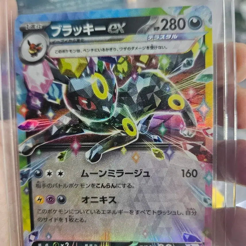 [BUNJANG] Pokemon Card Umbreon Terastal &amp; North American Umbreon 2-Card Set / 포켓몬카드 블래키 일판 테라스탈, 북미 블랙키 2장 세트