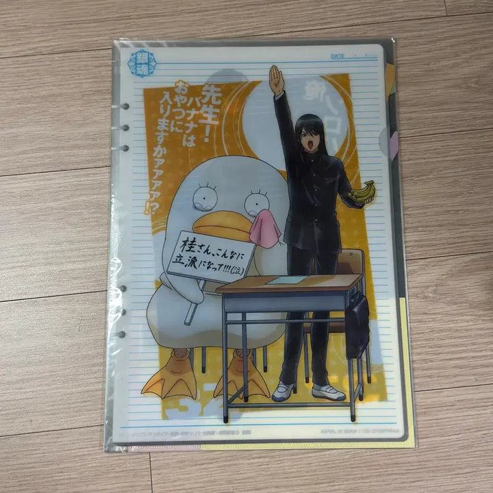 [BUNJANG] Gintama 3Z A4 Clear File &amp; Sticker Set / 은혼 3Z 삼젯 A4 클리어파일 2개 + 스티커 2장 세트 쿠지 H상 긴토키 카츠라 엘리자베스