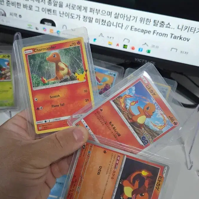 [BUNJANG] Pokemon Card Charmander, Squirtle, Bulbasaur 25th Anniversary Set / 포켓몬카드 이상해씨, 파이리, 꼬부기