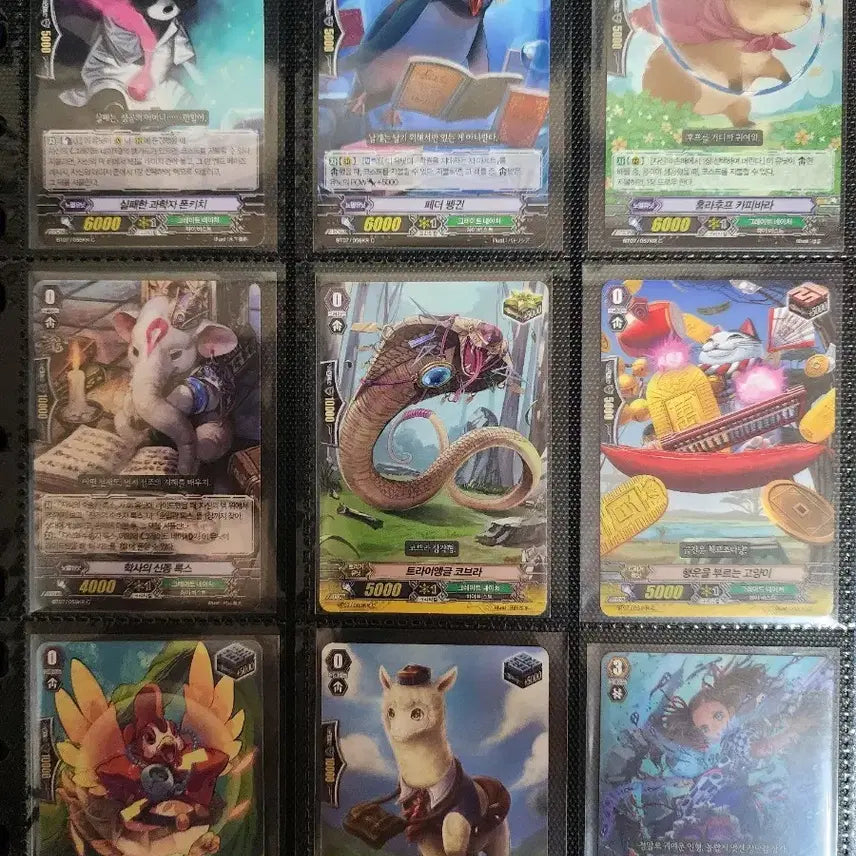 [BUNJANG] Academy Vanguard C/R 190 Card Binder Set / 아카데미 정발 카드파이터 뱅가드 C/R 190장 바인더 세트