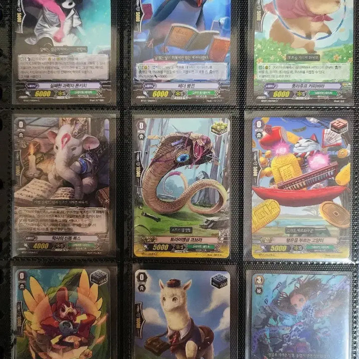 [BUNJANG] Academy Vanguard C/R 190 Card Binder Set / 아카데미 정발 카드파이터 뱅가드 C/R 190장 바인더 세트