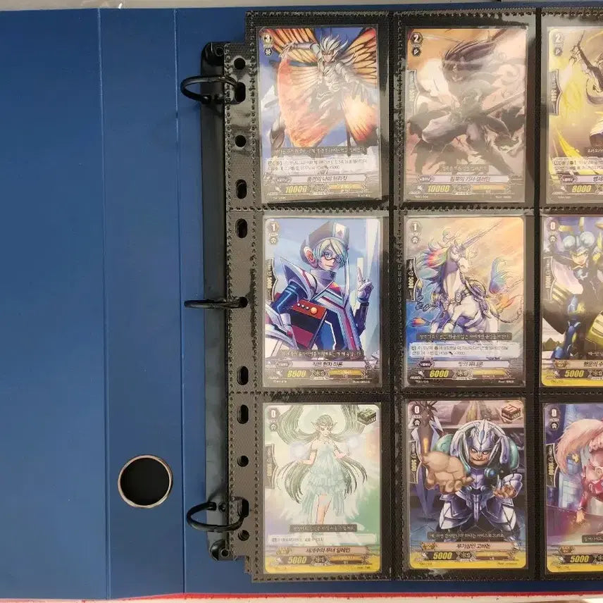 [BUNJANG] Academy Vanguard C/R 190 Card Binder Set / 아카데미 정발 카드파이터 뱅가드 C/R 190장 바인더 세트