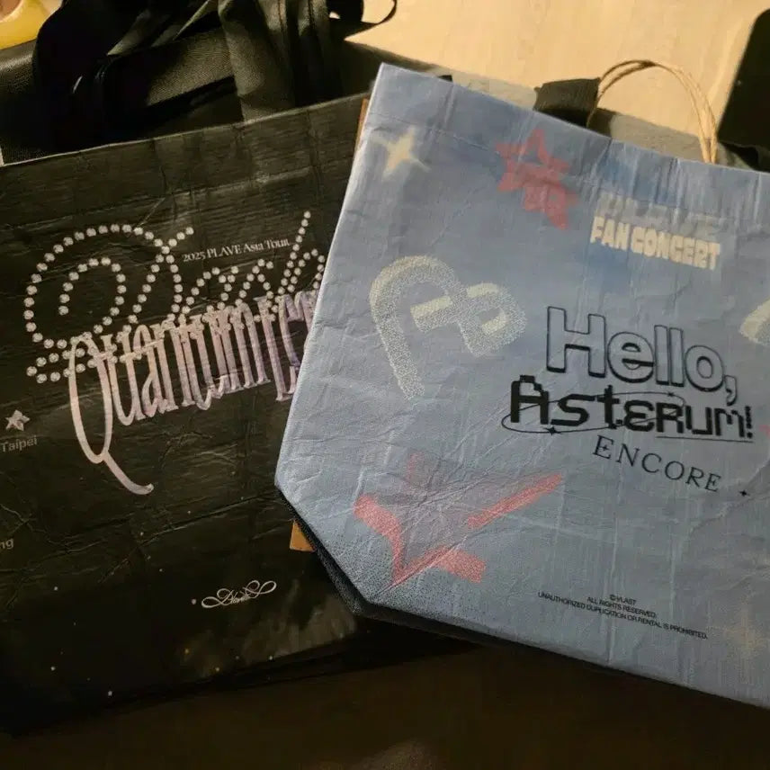 [BUNJANG] Playve Bag / 플레이브