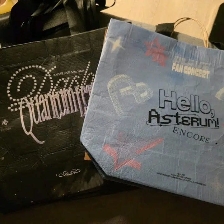 [BUNJANG] Playve Bag / 플레이브