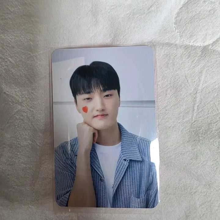 [BUNJANG] T1 Woongjin Uru Shot Eve Photocard Phase / 대웅제약 우루샷이브 티원 포토카드 페이즈