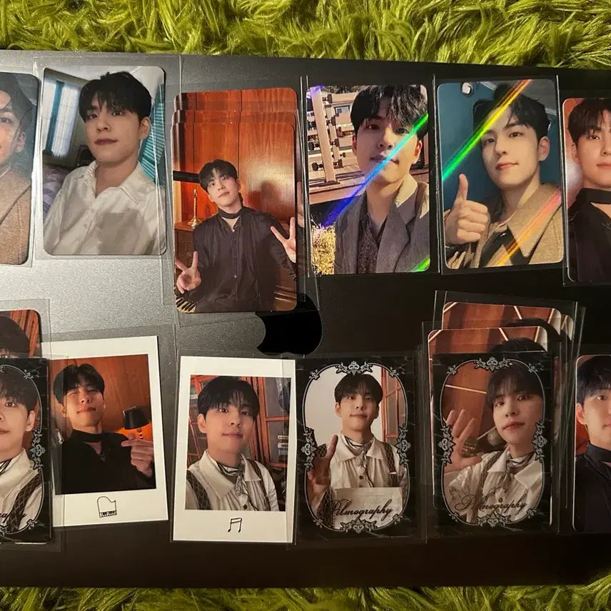 [BUNJANG] DAY6 Wonpil Bundle Set Photocard / 데이식스 원필 포카 일괄판매