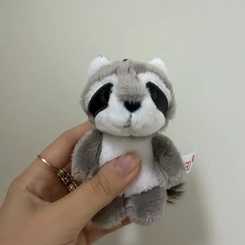 [BUNJANG] European Raccoon Plush Keychain / 유럽 너구리 인형 키링