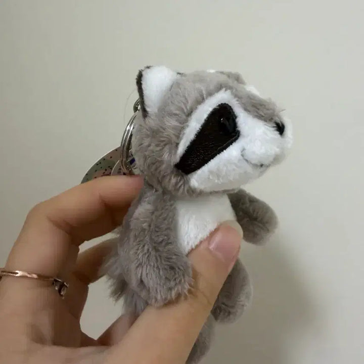 [BUNJANG] European Raccoon Plush Keychain / 유럽 너구리 인형 키링