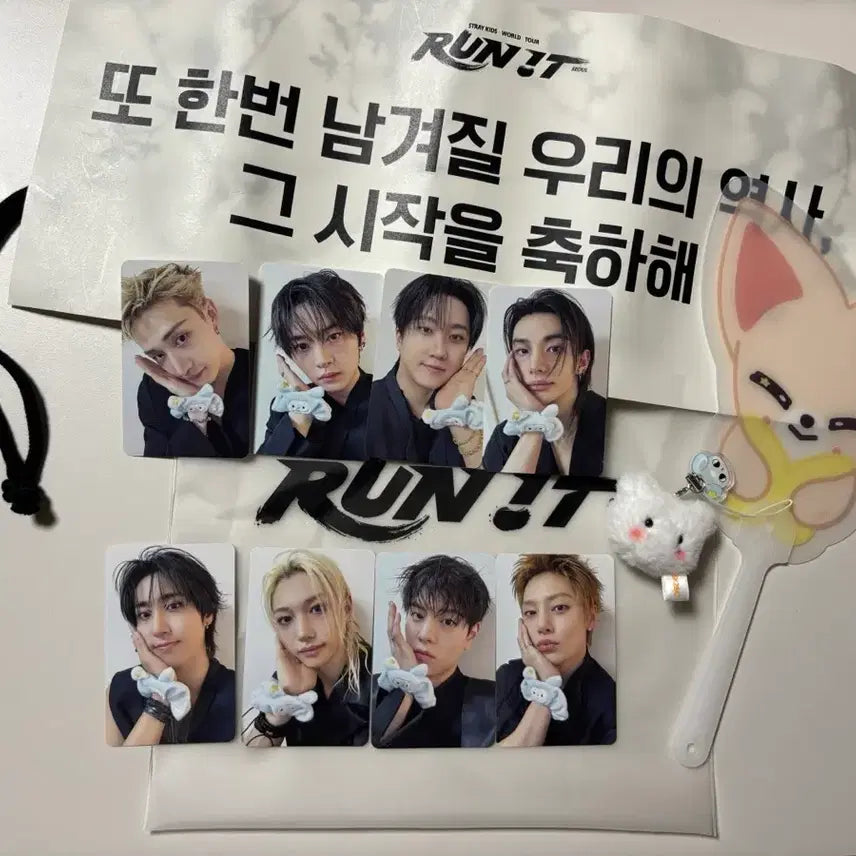 [BUNJANG] Stray Kids SKZ &