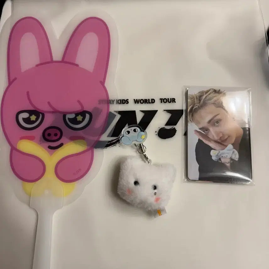[BUNJANG] Stray Kids Stay Zone Gift Bundle Set Jiniret Dwakki / 스키즈 스테이존 기프트 일괄양도 지니렛 돼끼