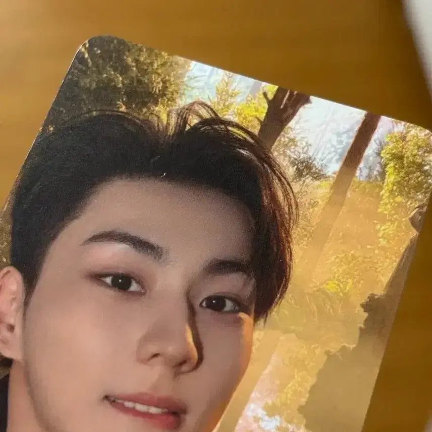 [BUNJANG] ENHYPEN Jungwon Engine Zone Blood Sangha Photocard / 엔하이픈 정원 엔진존 블러드사가