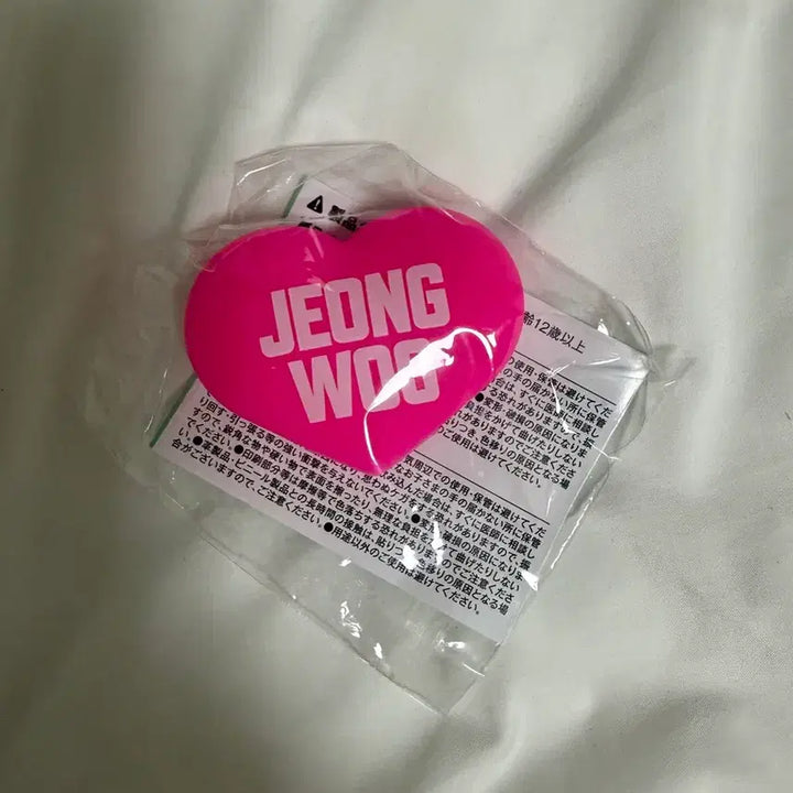 [BUNJANG] TREASURE Park Jeongwoo Uchiwa Fan Light Charm Accessory The Stage Japan Tour Fancon MD Random Toy Gacha / 트레저 박정우 우치와 참 악세서리 더스테이지 일투 팬콘 엠디 랜덤토이 가챠