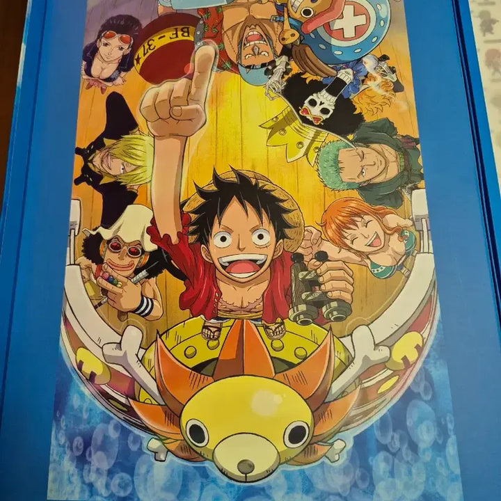 [BUNJANG] One Piece Monkey D. Luffy Limited Edition (438/500) / 원피스 루피 한정판 438/500