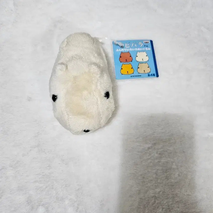 [BUNJANG] Capybara Plush Doll / 카피바라상 인형