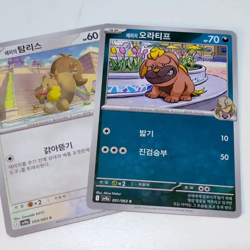 [BUNJANG] Pokemon Cards Pepper&
