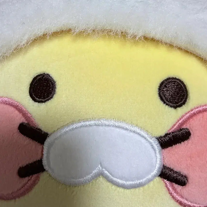 [BUNJANG] Kakao Friends Choonsik Sleeping Blanket / 카카오프렌즈 춘식이 수면담요