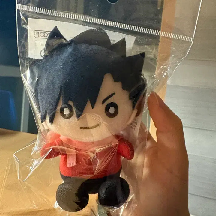 [BUNJANG] Haikyuu!! Tetsuro Kuroo Plush Doll (Sealed) / 미개봉) 하이큐!! 쿠로오 테츠로 누이구루미