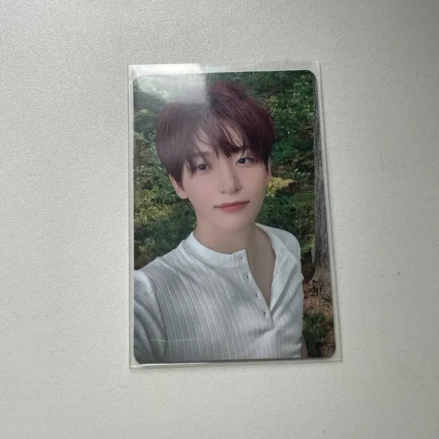[BUNJANG] CRAVITY Jeongmo Photocard Set Serim Allen Woobin Wonjin Minhee Hyungjun Taeyoung Seongmin / 크래비티 정모 포카 양도 앨포 세림앨런우빈원진민희형준태영성민
