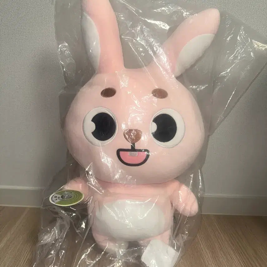 [BUNJANG] DAY6 Wonpil Giant Denimals Pil Doll / (택미포) 데이식스 원필 인형 자이언트 데니멀즈 필