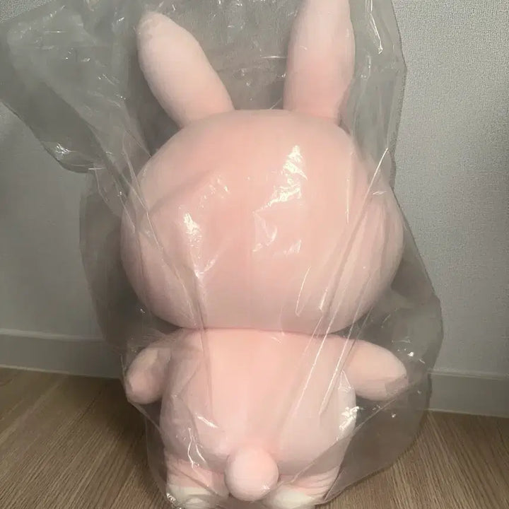 [BUNJANG] DAY6 Wonpil Giant Denimals Pil Doll / (택미포) 데이식스 원필 인형 자이언트 데니멀즈 필