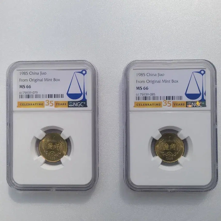 [BUNJANG] 1985 China 1 Jiao Coin Set NGC MS66 / 중국 1985년 1각 동전세트  NGC66