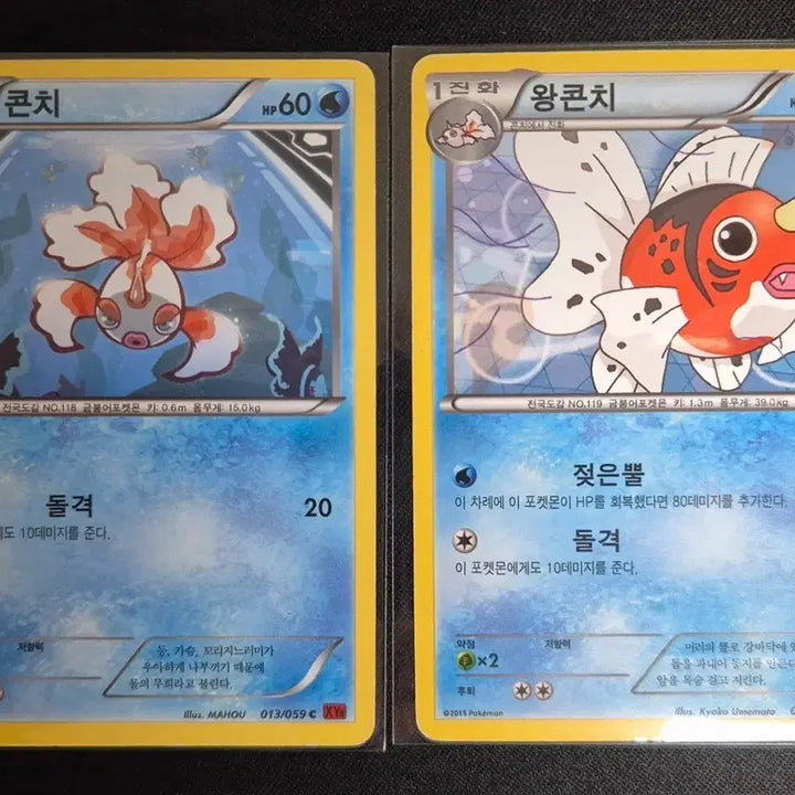 [BUNJANG] XY Series Coin / King Coin Pokemon Card Evolution Set / XY시리즈 콘치 / 왕콘치 포켓몬 카드 진화세트
