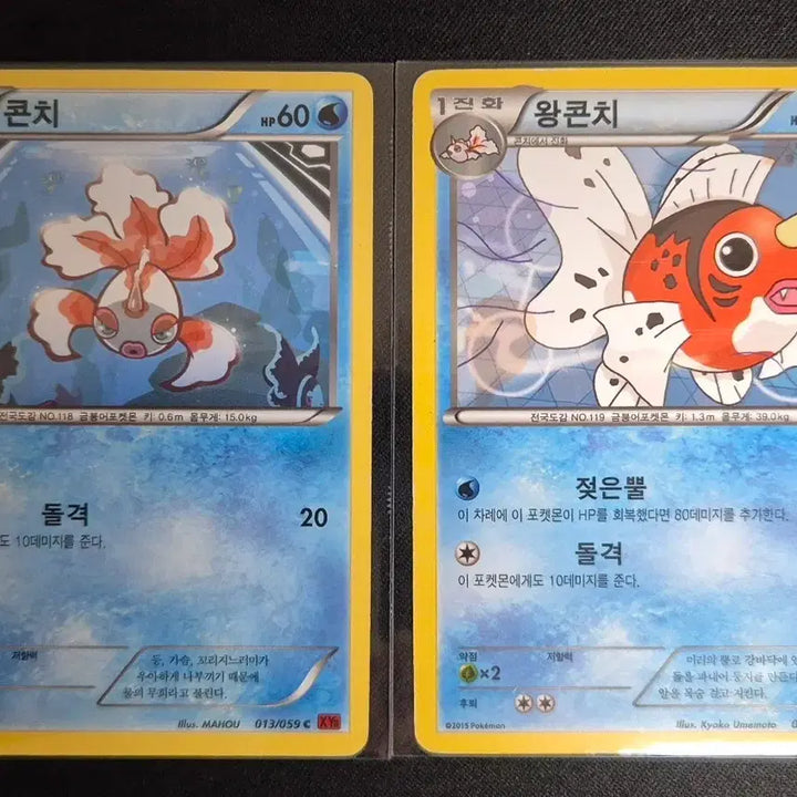 [BUNJANG] Pokemon Card Evolution Set - XY Series Konchi / Wang Konchi / XY시리즈 콘치 / 왕콘치 포켓몬 카드 진화세트
