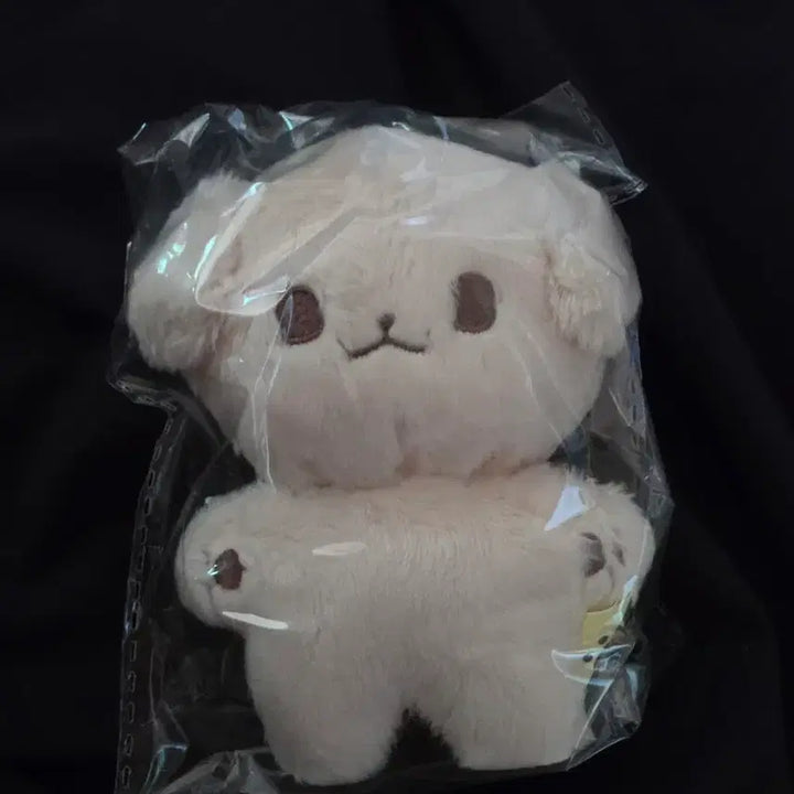 [BUNJANG] NCT DREAM Jeno Kongjjen Doll / NCT DREAM 엔시티드림 제노 인형 콩쩬 팝니다