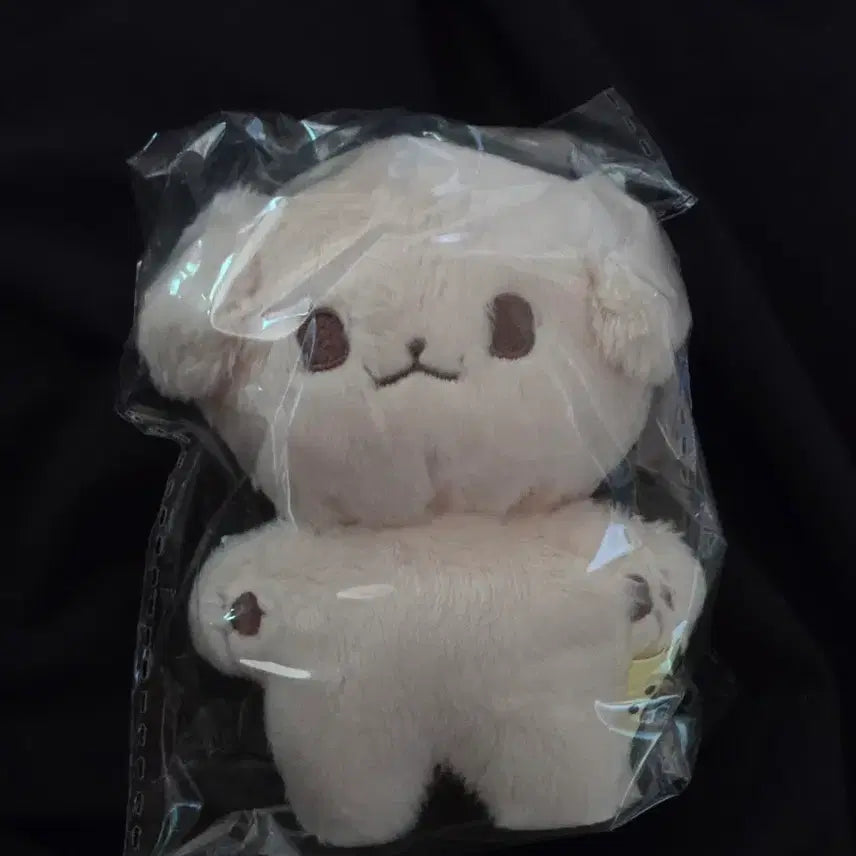 [BUNJANG] NCT DREAM Jeno Kongjjen Doll / NCT DREAM 엔시티드림 제노 인형 콩쩬 팝니다