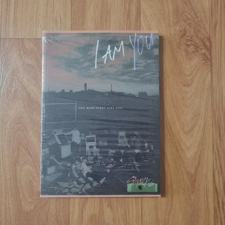 [BUNJANG] Stray Kids I am YOU Album (Seungmin Inner Cover) / 스트레이키즈 I am you 아엠유 개봉앨범 (속표지 한)