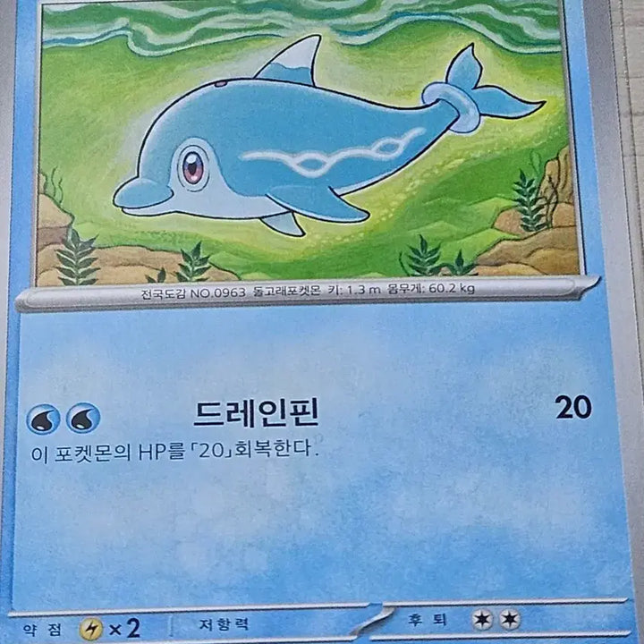 [BUNJANG] Pokemon Card Mandolphin / 포켓몬 카드 맨돌핀