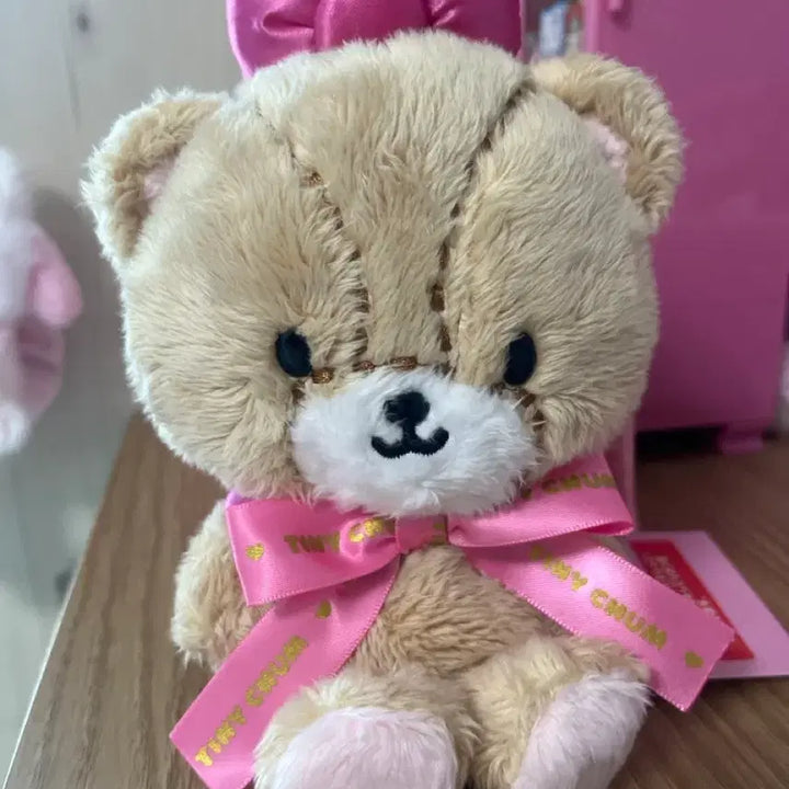 [BUNJANG] Tiny Charm Mascot Plush / 타이니참 마스코트 인형