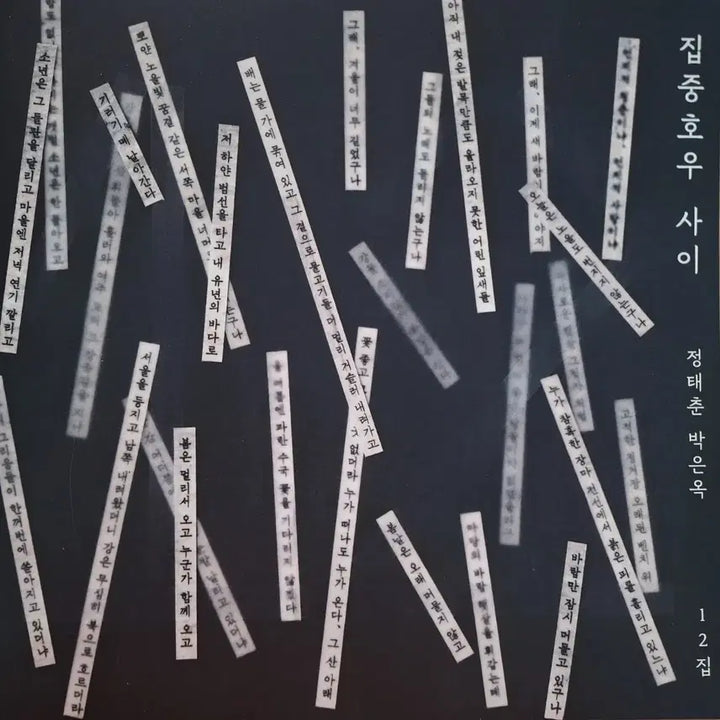 [BUNJANG] Jeong Tae Chun Park Eun Ok 12th Album &