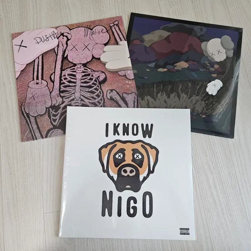 [BUNJANG] KAWS Companion Record LP Cover Art / kaws 커버 lp
