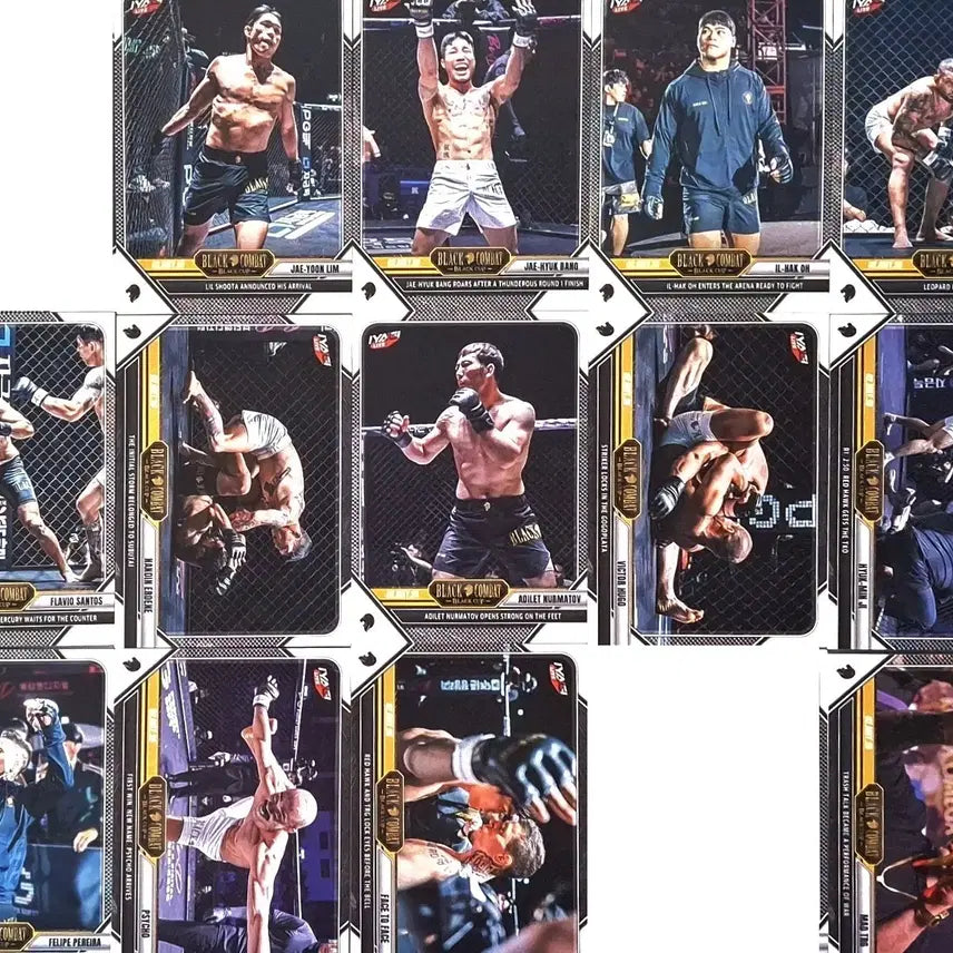 [BUNJANG] Black Combat Card Exchange - Korean vs Eurasia Tournament Base Cards / 블랙컴뱃 중복 카드교환!!