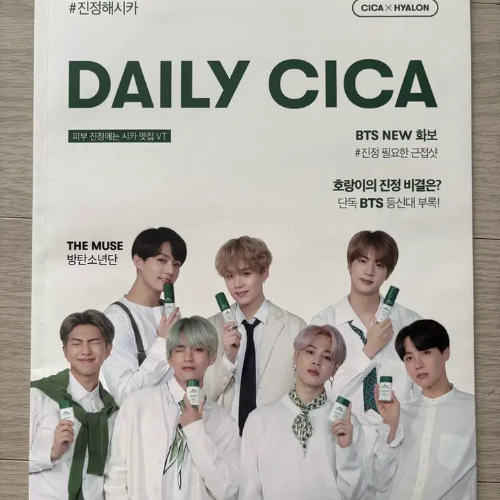 [BUNJANG] BTS VT Standee (Full Group) &amp; Daily Cica Booklet / BTS 방탄 등신대 VT + 데일리 시카 책자