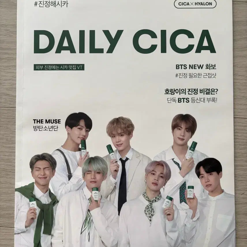 [BUNJANG] BTS VT Standee (Full Group) &amp; Daily Cica Booklet / BTS 방탄 등신대 VT + 데일리 시카 책자