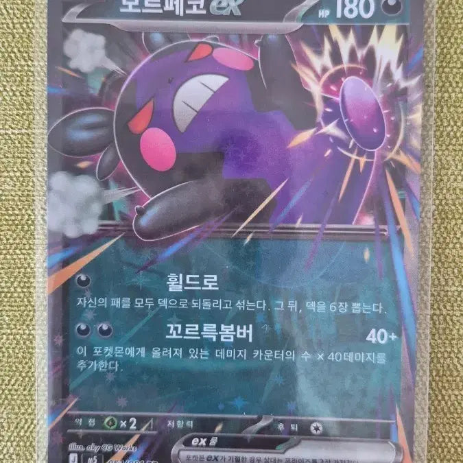 [BUNJANG] Pokemon Card Morpeko EX 053/081 / [포켓몬카드 한판] 모르페코 EX 053/081