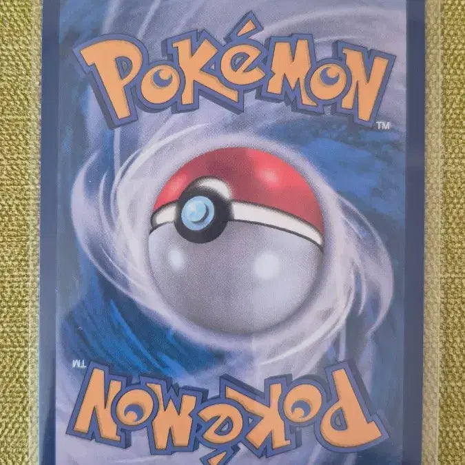 [BUNJANG] Pokemon Card Morpeko EX 053/081 / [포켓몬카드 한판] 모르페코 EX 053/081