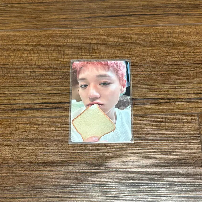 [BUNJANG] Park Jihoon Soundwave Popup Lucky Draw Reflect Bread Photocard / 박지훈 사운드웨이브 팝업 럭드 럭키드로우 리플렉트 식빵 포카 포토카드 굿즈