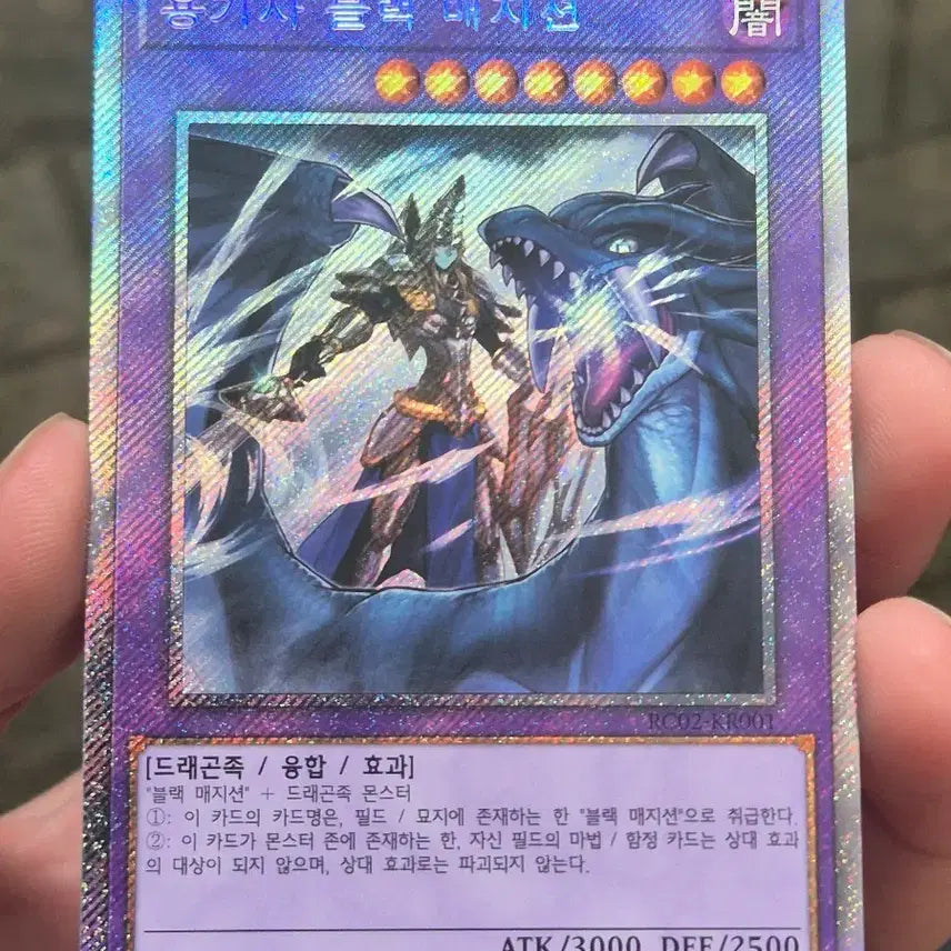 [BUNJANG] Yu-Gi-Oh! Dark Magician Knight / 유희왕 용기사 블랙매지션 엑시크