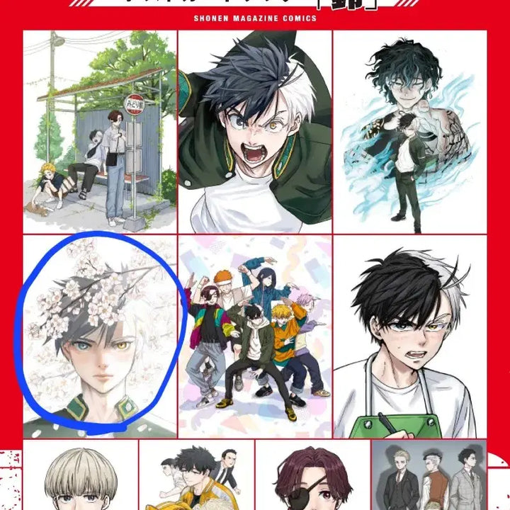 [BUNJANG] Wind Breaker Original Art Postcard Sakura Cherry Blossom Special Offer / 윈드브레이커 윈브레 원화 엽서 사쿠라 벚꽃 엽서 원서 특전