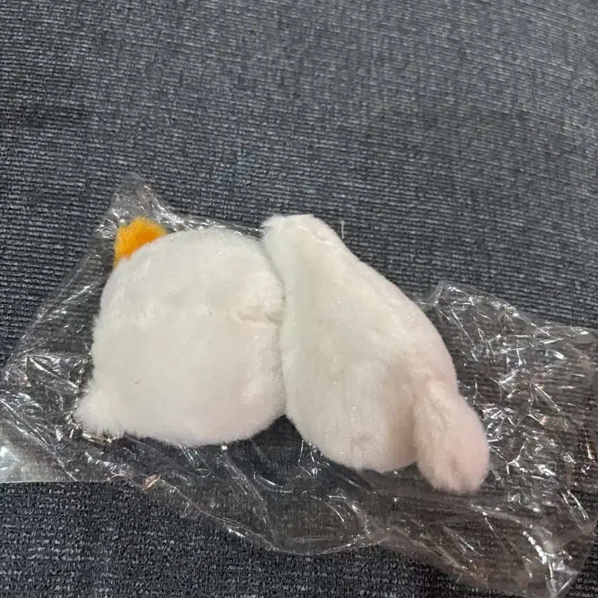 [BUNJANG] NCT DREAM Jisung Pocket Plush Doll / 포켓찌 눕켓찌 엔시티 드림 지성 인형