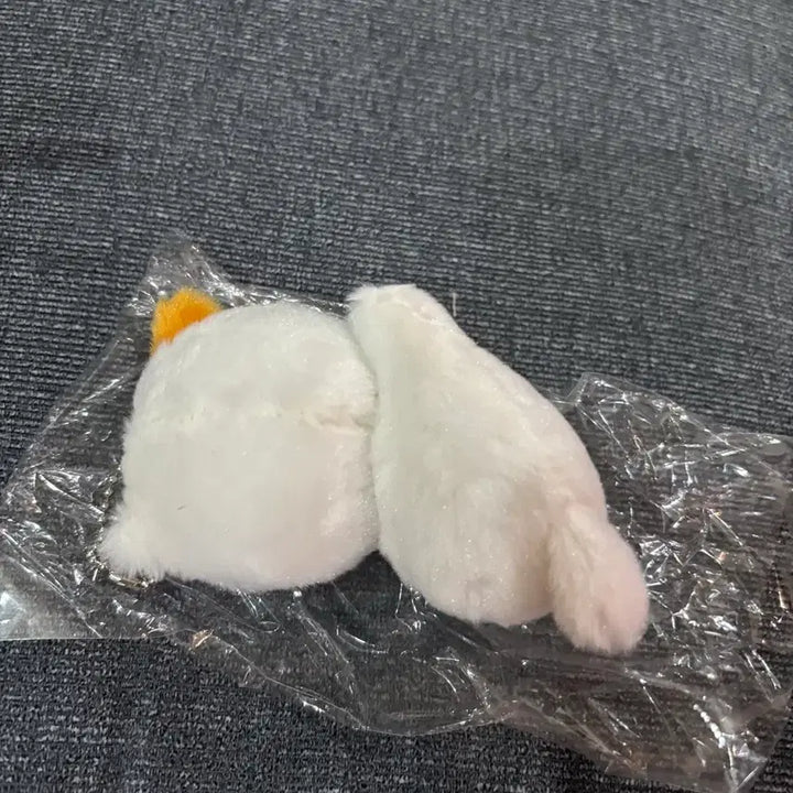 [BUNJANG] NCT DREAM Jisung Pocket Plush Doll / 포켓찌 눕켓찌 엔시티 드림 지성 인형