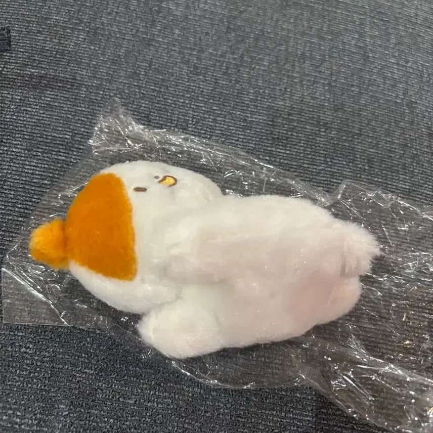 [BUNJANG] NCT DREAM Jisung Pocket Plush Doll / 포켓찌 눕켓찌 엔시티 드림 지성 인형