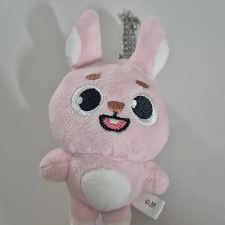 [BUNJANG] Day6 Japan Goods Baekchan Charm / 데이식스 일본 굿즈 백참 필